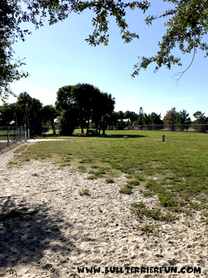 Best pet friendly campgrounds in Florida - Fort De Soto