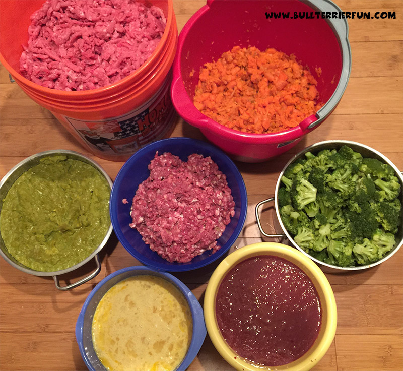 Low starch, grain-free homemade raw food recipe for dogs