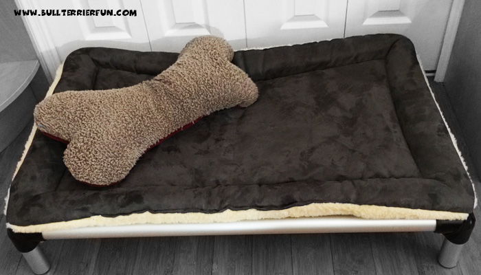 The Kuranda all aluminum dog bed - a great choice for Bull Terriers