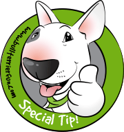 Special tip - spiky ball for dogs