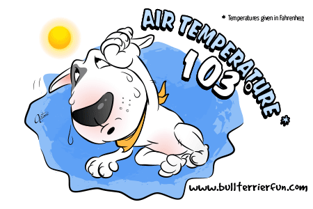 Dog Overheating - Air Temperature