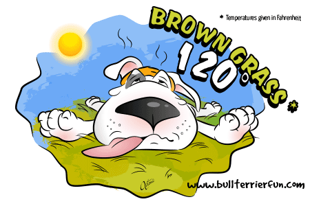 Dog Overheating - Brown Grass