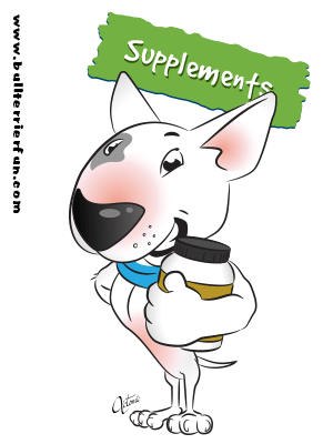 Bullterrierfun - Supplements for dogs - Keep your pooch healthy and energetic