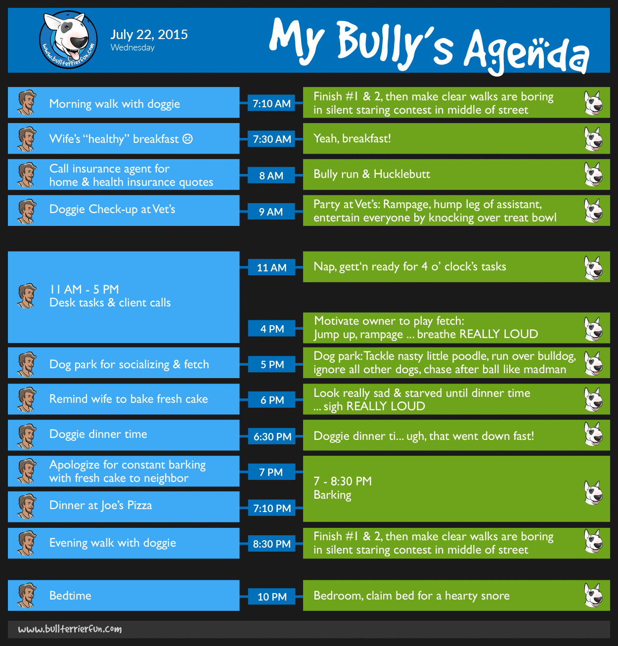 My Bull Terrier's Agenda