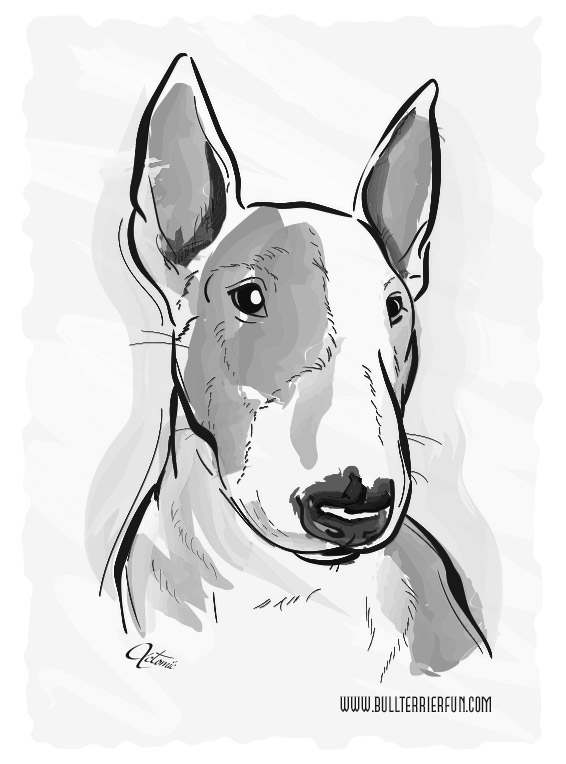 Bull Terrier water color painting
