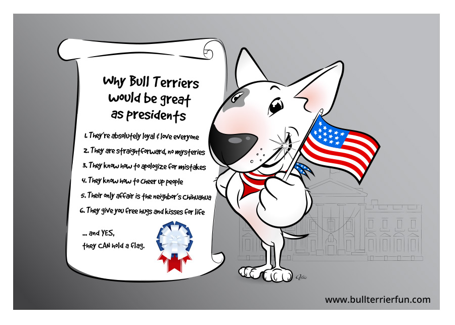Why Bull Terriers would be a great president
