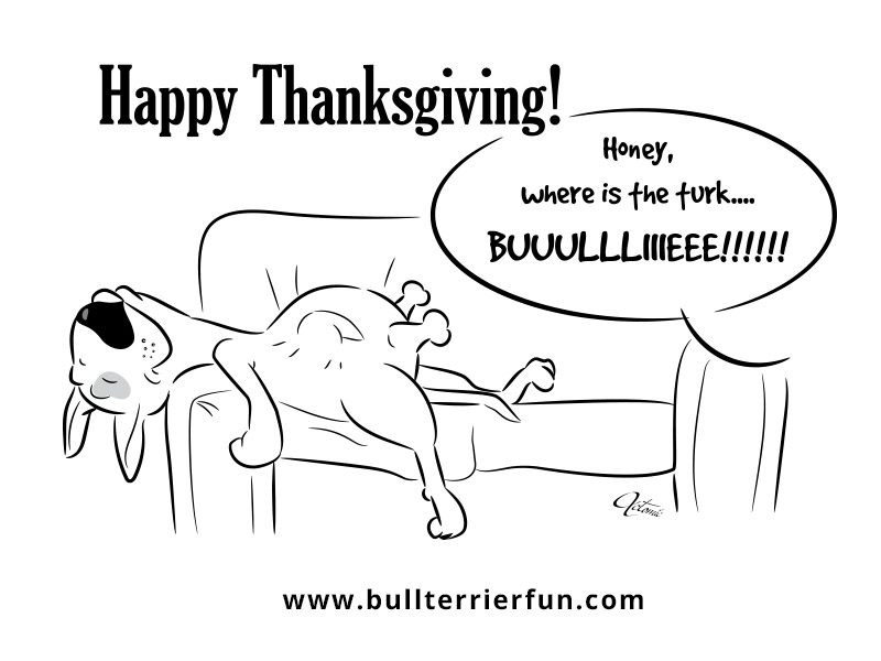 bullterrierfun2016-thanksgiving